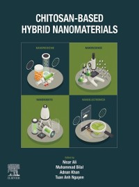 Cover Chitosan-Based Hybrid Nanomaterials