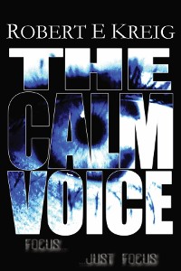 Cover The Calm Voice