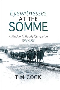 Cover Eyewitnesses at the Somme
