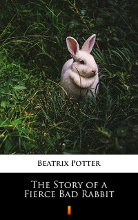 Cover The Story of a Fierce Bad Rabbit