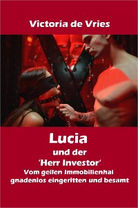Cover Lucia und der 'Herr Investor'