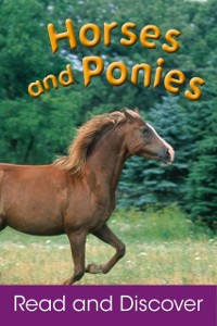 Cover Horses and Ponies