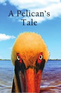 Cover Pelican's Tale