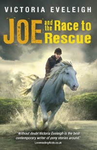 Cover Joe and the Race to Rescue