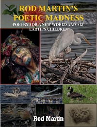 Cover ROD MARTIN'S POETIC MADNESS