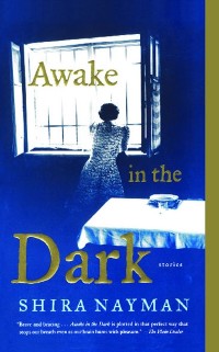 Cover Awake in the Dark