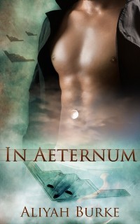 Cover In Aeternum: A Box Set