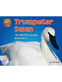 Cover Trumpeter Swan