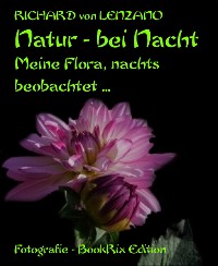 Cover Natur - bei Nacht