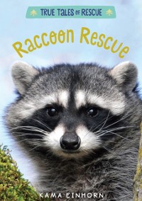 Cover Raccoon Rescue