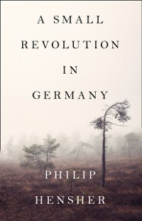Cover SMALL REVOLUTION IN GERMANY EB