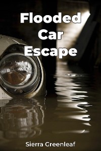 Cover Flooded Car Escape