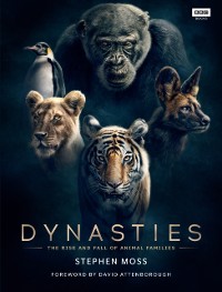Cover Dynasties