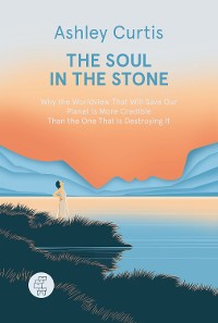 Cover The Soul in the Stone