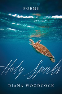 Cover Holy Sparks