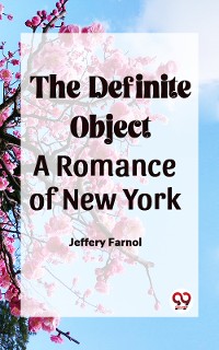 Cover The Definite Object A Romance Of New York