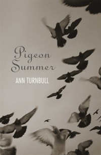 Cover Pigeon Summer