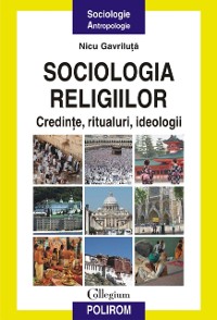 Cover Sociologia religiilor: credințe, ritualuri, ideologii