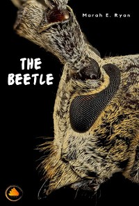 Cover The Beetle