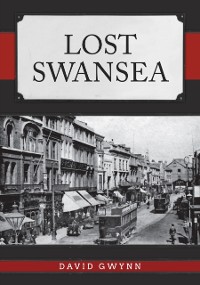 Cover Lost Swansea