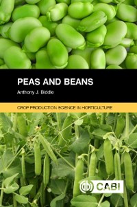 Cover Peas and Beans