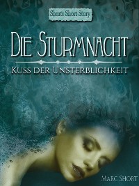 Cover Die Sturmnacht