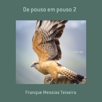 Cover De Pouso Em Pouso 2