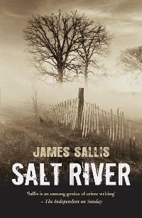 Cover Salt River