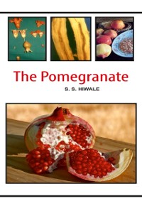 Cover The Pomegranate