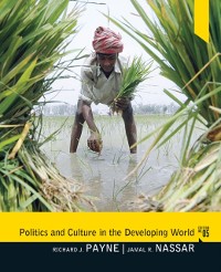 Cover Politics and Culture in the Developing World