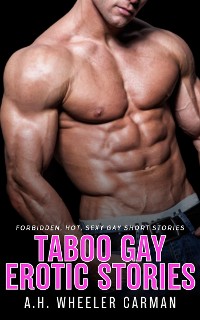 Cover Taboo Gay Erotic Stories