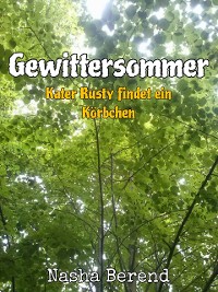 Cover Gewittersommer