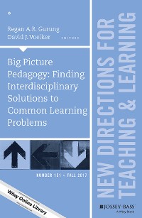 Cover Big Picture Pedagogy
