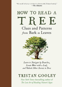 Cover How to Read a Tree: Clues and Patterns from Bark to Leaves (Natural Navigation)