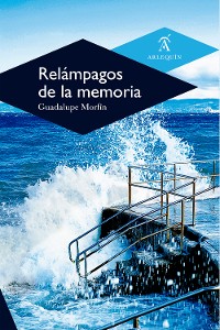 Cover Relámpagos de la memoria