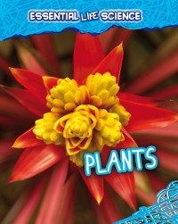 Cover Plants