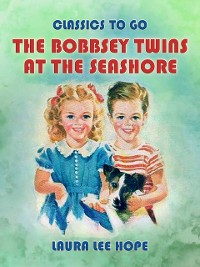 Cover Bobbsey Twins At The Seashore