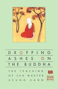 Cover Dropping Ashes on the Buddha