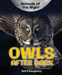 Cover Owls After Dark