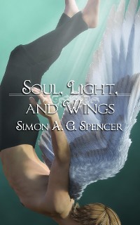 Cover Soul, Light, and Wings