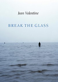 Cover Break the Glass