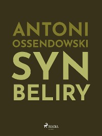 Cover Syn Beliry