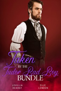 Cover Taken By The Tudor Bad Boy Bundle