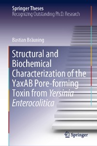 Cover Structural and Biochemical Characterization of the YaxAB Pore-forming Toxin from Yersinia Enterocolitica