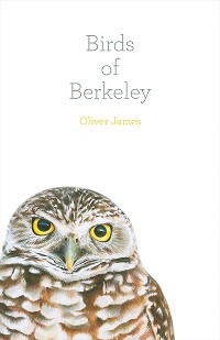Cover Birds of Berkeley