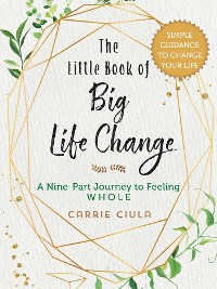 Cover Little Book of Big Life Change