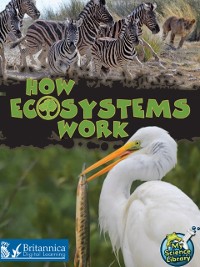 Cover How Ecosystems Work