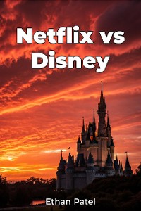 Cover Netflix vs Disney