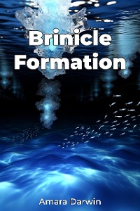 Cover Brinicle Formation