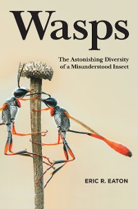 Cover Wasps